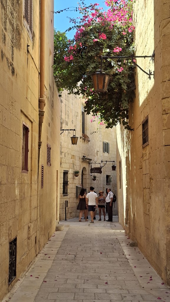 20250917 134138 (Copy)